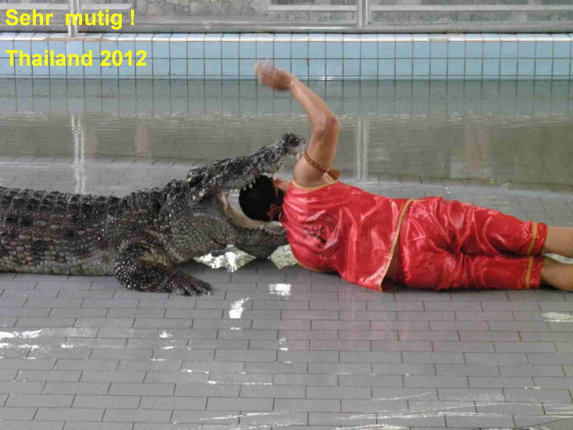 Sehr mutig Thailand 2012